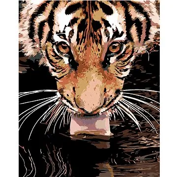 Diamondi - Diamantové malování - TYGR U VODY, 40x50 cm, bez rámu a bez vypnutí plátna (603627A)