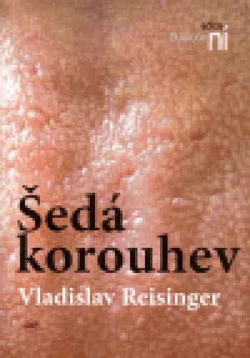 Šedá korouhev - Vladislav Reisinger