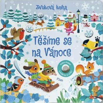 Těšíme se na Vánoce - Zvuková kniha - Sam Taplin