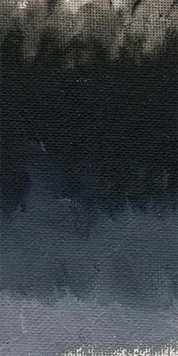 Olej Williamsburg 150ml – 1721 Ivory Black