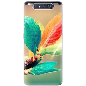 iSaprio Autumn pro Samsung Galaxy A80 (aut02-TPU2_GalA80)