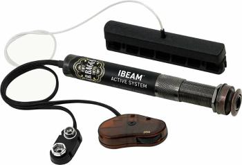 L.R. Baggs iBeam Snímač pro akustickou kytaru