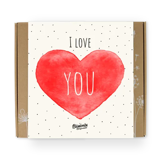 Blossombs Semínkové bomby - Dárková sada střední "Miluji tě" (9 ks)