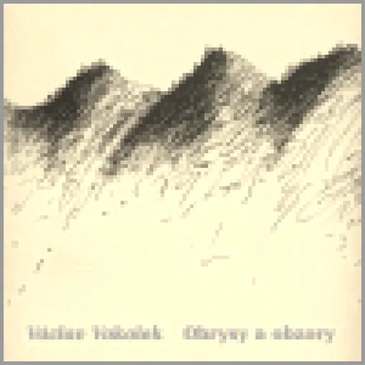 Obrysy a obzory - Václav Vokolek