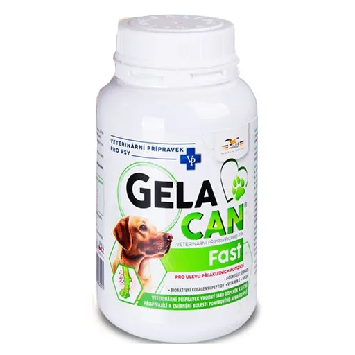 GELACAN Gelacan Chondro Forte 500 g