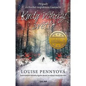 Kudy vchází světlo (978-80-7617-292-0)