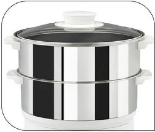 VC145130 PARNÍ HRNEC TEFAL