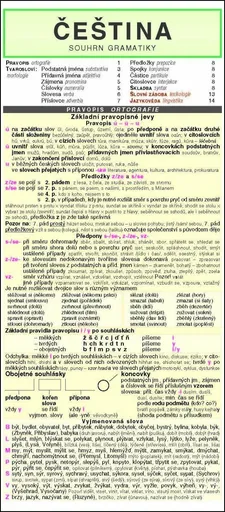 ČEŠTINA souhrn gramatiky