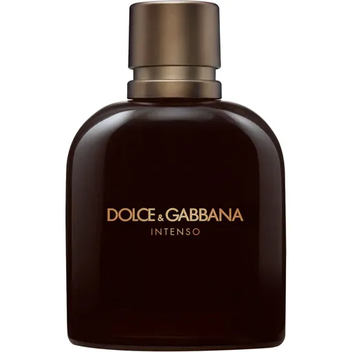 Dolce&Gabbana Pour Homme Intenso parfémovaná voda pro muže 75 ml