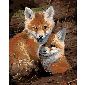 Zuty - Malování podle čísel – MLÁĎATA LIŠKY (JOE HAUTMAN), 80x100 cm, vypnuté plátno na rám (HRAmmb04675nad)