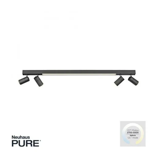 PAUL NEUHAUS Stropní svítidlo PURE-LINES LED 10W 2700-5000K + 4x LED 4W 2700-5000K antracit 6121-13