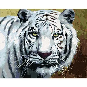 Zuty - Malování podle čísel - BÍLÝ TYGR POHLED PORTRÉT (D. RUSTY RUST), 80x100 cm, vypnuté plátno na (HRAmmb01161nad)
