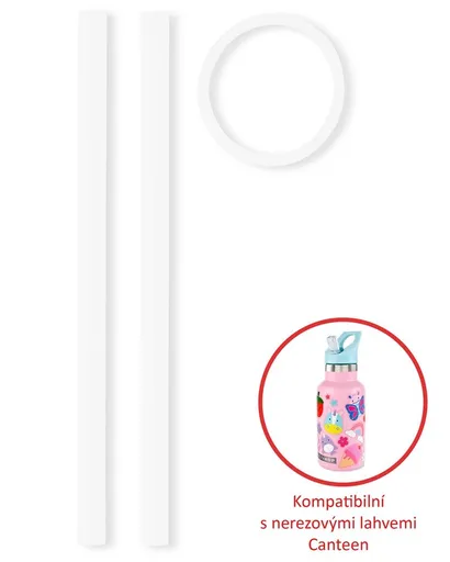 SKIP HOP Slámky náhradní na lahev nerezové 2ks