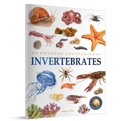 Animals - Invertebrates