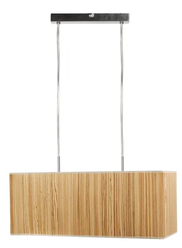 Stropní lampa Cajman 2X60W E27 50X20 cm