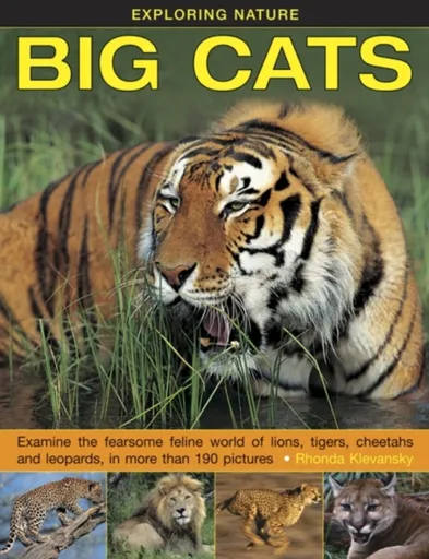 Exploring Nature: Big Cats - Rhonda Klevansky
