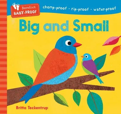 Barefoot Baby-Proof: Big and Small - Barefoot Books