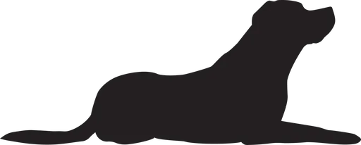 Vsepropejska Labrador 3 dřevěná dekorace na zeď Rozměr (cm): 19 x 38