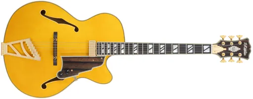 D'Angelico Excel 16 Amber