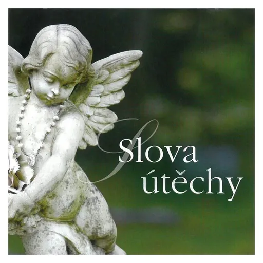 Slova útěchy (Různí interpreti) (CD)