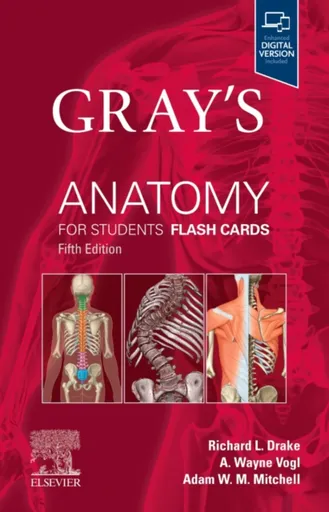 Gray's Anatomy for Students Flash Cards - A. Wayne  Vogl, Richard L.  Drake, Adam W. M.  Mitchell