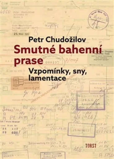 Smutné bahenní prase - Petr Chudožilov