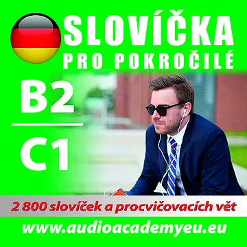 Němčina - slovíčka B2/C1 ()