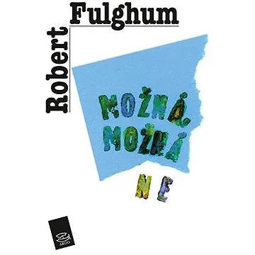 Možná, možná ne (9788025705568)