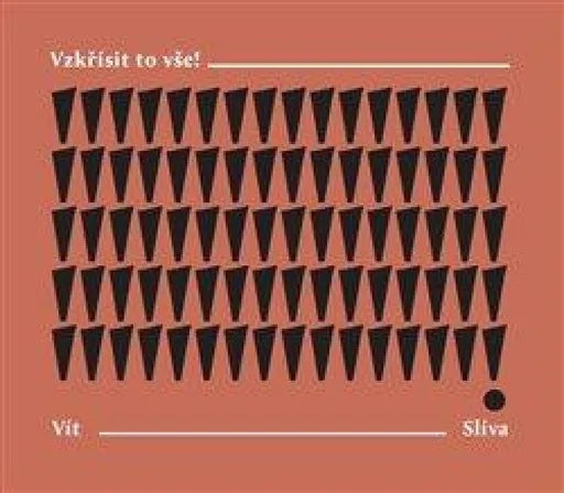 Vzkřísit to vše! - Vít Slíva
