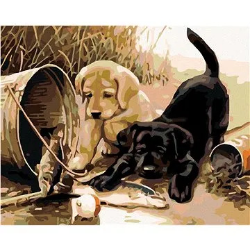 Malování podle čísel - Štěňata s rybou (HRAmal01080nad)