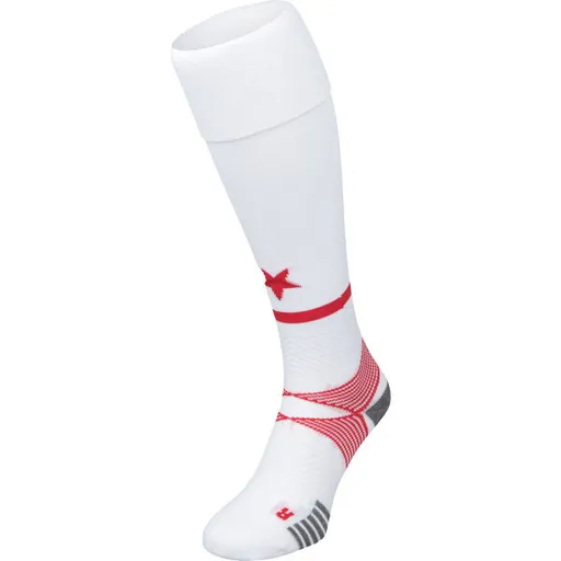 Puma TEAM SKSND SOCKS Štulpny, bílá, velikost 43-46