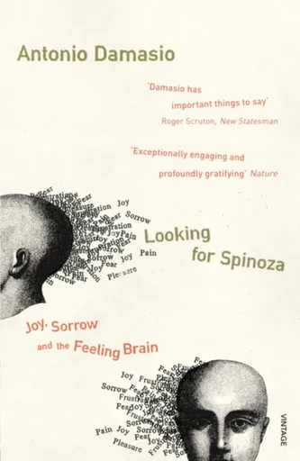 Looking For Spinoza - Antonio Damasio