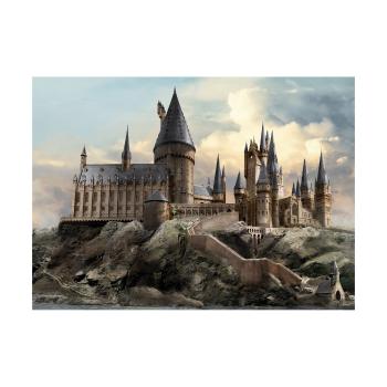 Detská fototapeta Harry Potter Hogwarts 252 x 182 cm, 4 diely