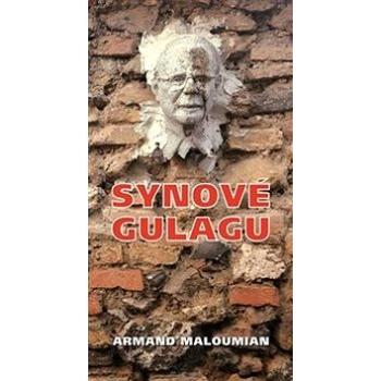 Synové gulagu (978-80-88245-07-0)