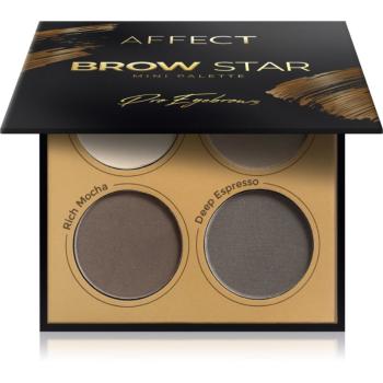 Affect Brow Star paletka pudrových stínů na obočí 4x2 g