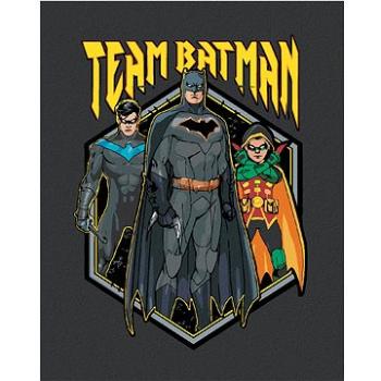 Zuty - Tým batman, 40×50 cm (HRAwlmal395nad)