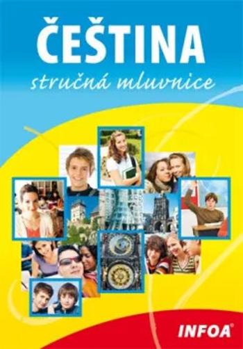 Čeština - stručná mluvnice - Jiří Kleker, Jana Drechslerová