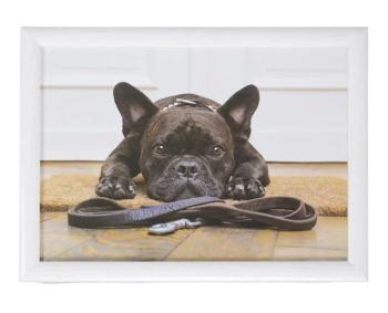 Podnos na nohy s buldočkem French Bulldog humour - 43*33*7cm RNLTFRB