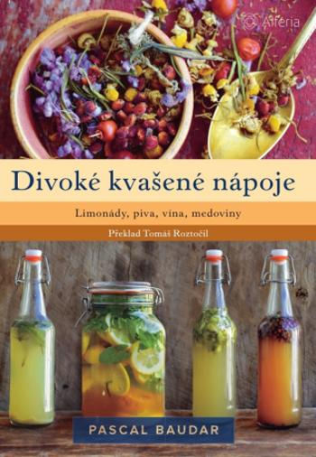 Divoké kvašené nápoje - Baudar Pascal - e-kniha