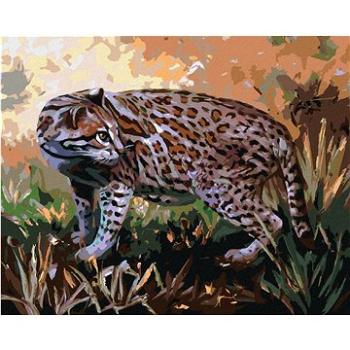 Zuty - Malování podle čísel - OCELOT V TRÁVĚ (D. RUSTY RUST), 80x100 cm, vypnuté plátno na rám (HRAmmb01621nad)