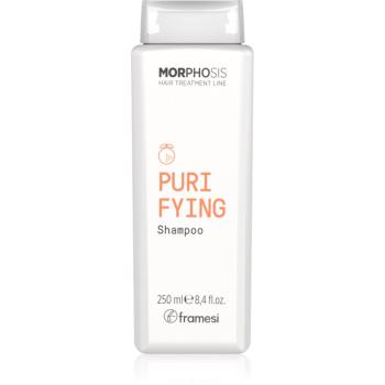 Framesi Morphosis Purifying čisticí šampon proti lupům 250 ml