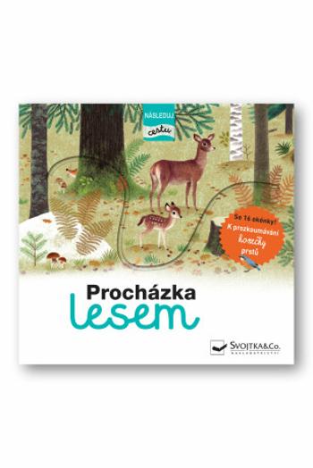 Procházka lesem - následuj cestu - Julie Faulques