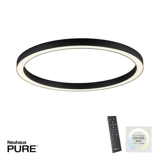 PAUL NEUHAUS LED stropní svítidlo PURE-LINES 70x70 CCT dálkový ovladač 2700-5000K antracit 6306-13