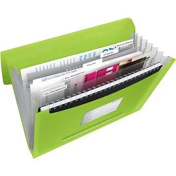 ESSELTE VIVIDA A4 s přihrádkami, zelená (624019)