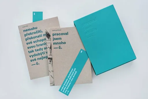 Pracoval jsem mnoho - Soupis výtvarného díla Josefa Čapka I - Pavla Pečinková