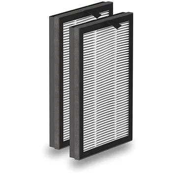 Rowenta XD6520F0 Particle Filter Eclipse (XD6520F0)