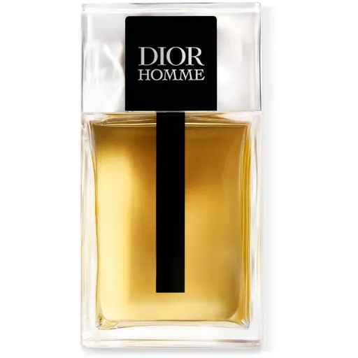 DIOR Dior Homme toaletní voda pro muže 100 ml