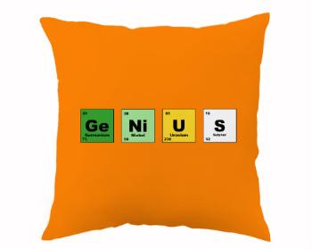 Polštář Genius