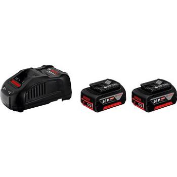 Bosch Starter Set 2 x GBA 18V + GAL 1880 CV Professional (1.600.A00.B8J)