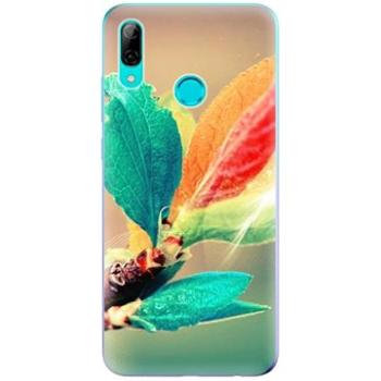 iSaprio Autumn pro Huawei P Smart 2019 (aut02-TPU-Psmart2019)